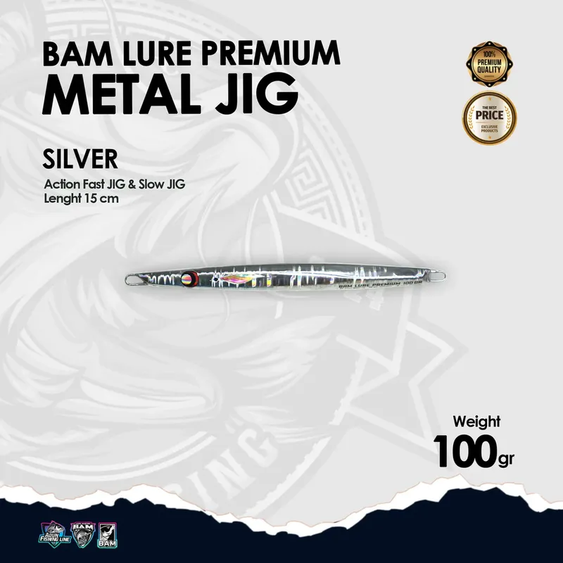 BAM Lure Premium Metal Jig - 100 gr Silver
