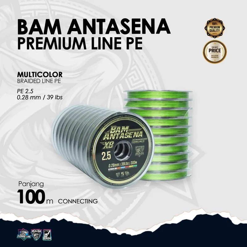 BAM Antasena Premium Line PE Connecting 100m - 1000m - 0,28 mm /39lbs PE 2,5