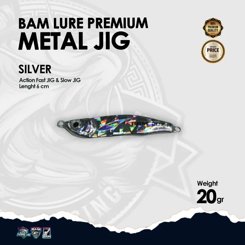BAM Lure Premium Metal Jig - 20 gr Silver