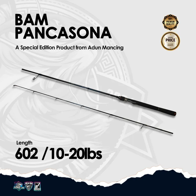 Joran BAM Pancasona 602 Special Edition - 10-20lbs