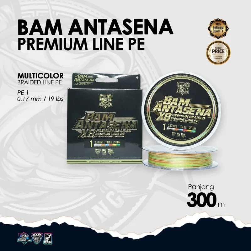 BAM Antasena Premium Line PE 300m - 0,17 mm / 19lbs PE 1