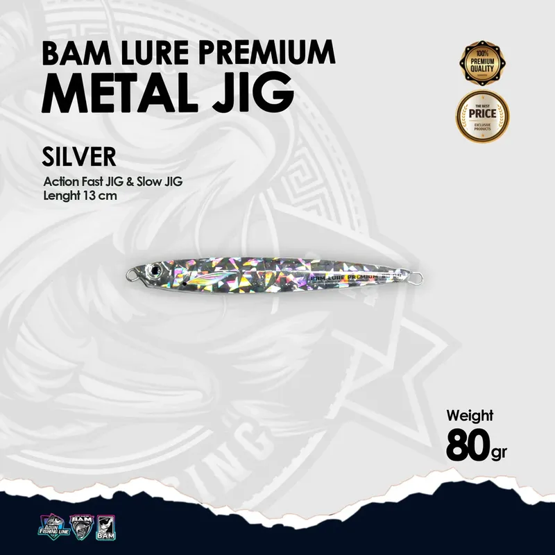 BAM Lure Premium Metal Jig - 80 gr Silver