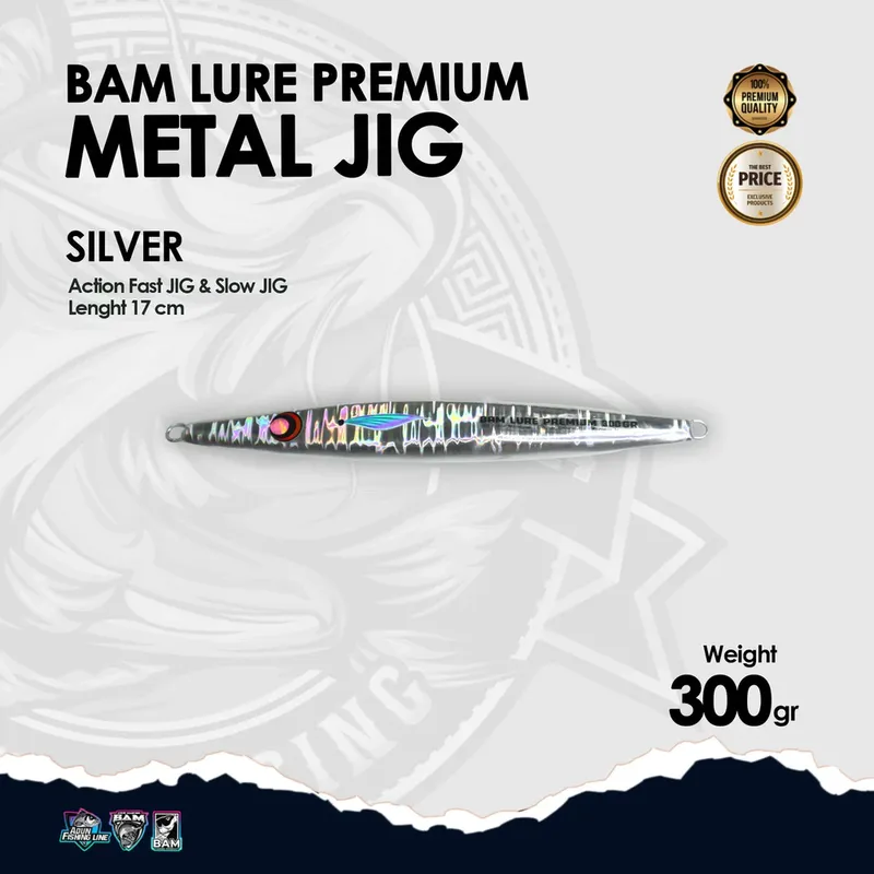 BAM Lure Premium Metal Jig - 300 gr Silver
