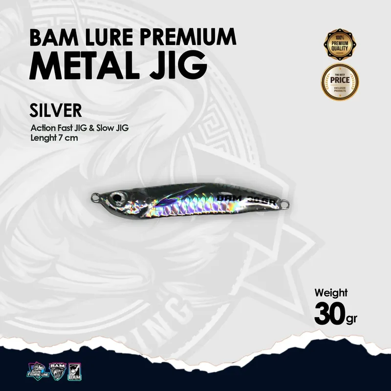 BAM Lure Premium Metal Jig - 30 gr Silver