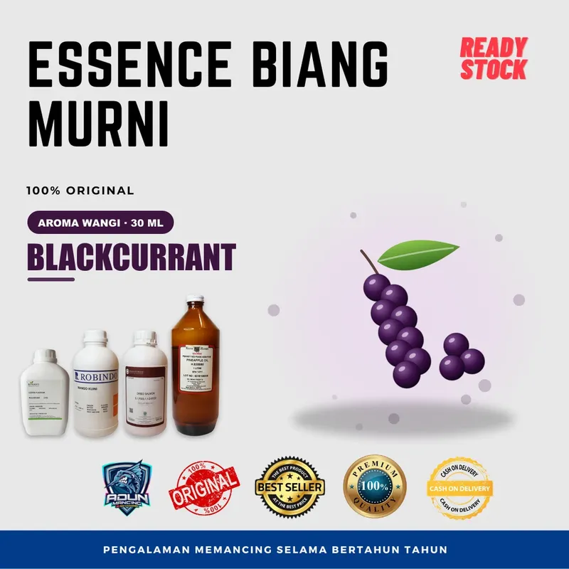 Essen Biang Murni Aroma Wangi 30 ml - Blackcurrant