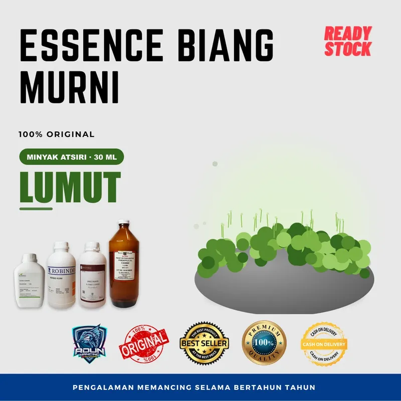 Essen Biang Murni Atsiri 30 ml - Lumut