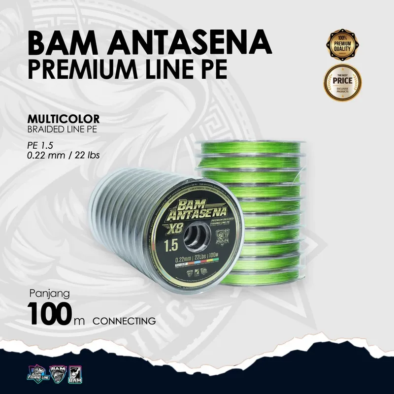 BAM Antasena Premium Line PE Connecting 100m - 1000m - 0,22 mm /22lbs PE 1,5