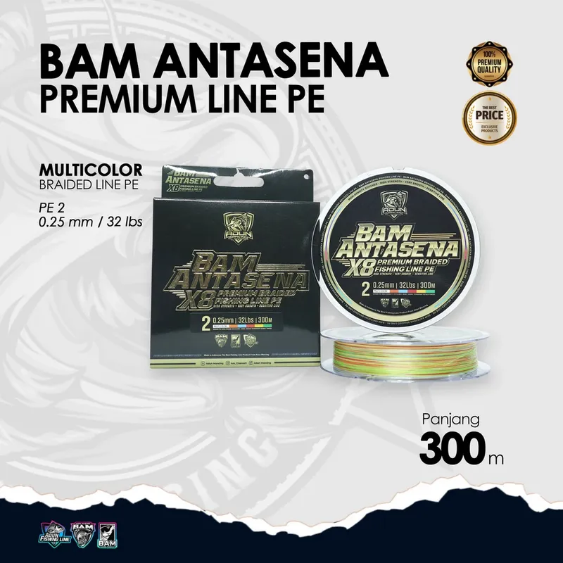 BAM Antasena Premium Line PE 300m - 0,25 mm / 32lbs PE 2