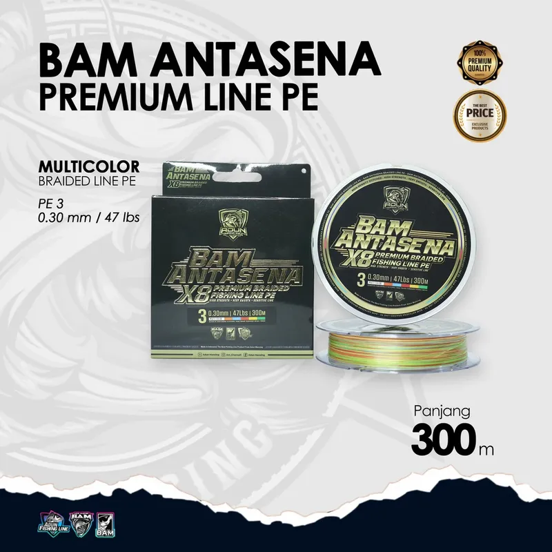 BAM Antasena Premium Line PE 300m - 0,30 mm / 47lbs PE 3