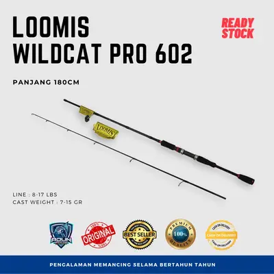 Joran Loomis Wildcat Pro 602
